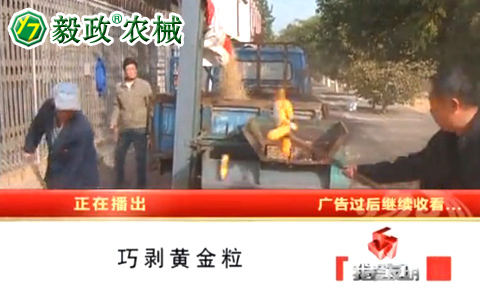 中央電視臺(tái)10套《我愛發(fā)明》之“巧剝黃金?！卑l(fā)明人袁毅