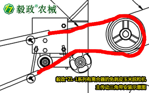 毅政牌ZL1系列有離合器的免剝皮玉米脫粒機，主傳動三角帶正確安裝